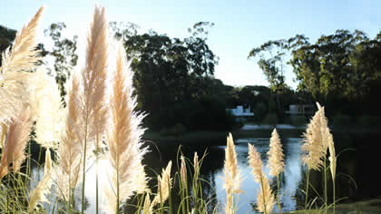 Design Village
