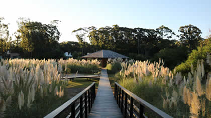 Design Village